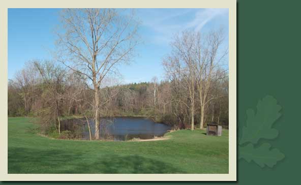 songbird chalet
