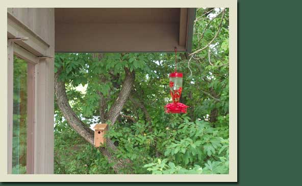 Songbird Chalet